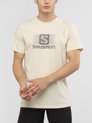 Tričko Salomon Blend Logo Ss Tee M Rainy Day/Ebon Šedá
