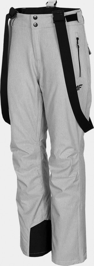 Dámské lyžařské kalhoty 4F SPDN301 Světle šedé še