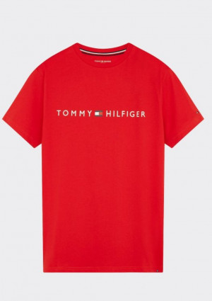 Pánské tričko Tommy Hilfiger UM0UM01434 L Červená