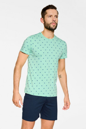 Pánské pyžamo Needle zelené s kaktusy zelená