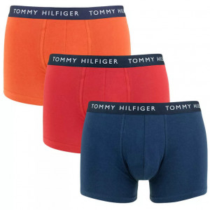 3PACK pánské boxerky Tommy Hilfiger vícebarevné (UM0UM02203 0TL)