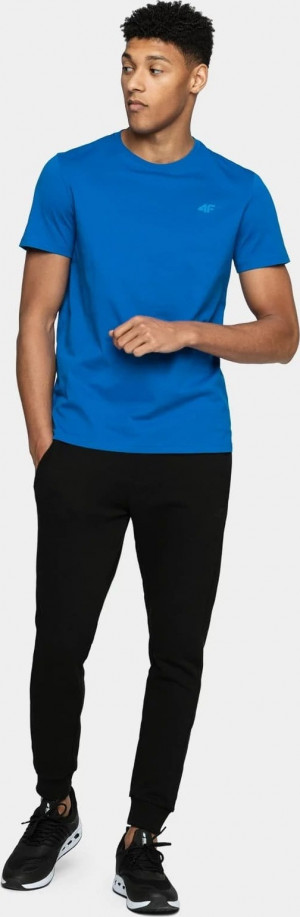 Pánské tričko 4F TSM003 Modré Modrá