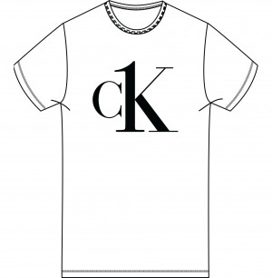 Spodní prádlo Dámská trička S/S CREW NECK 000QS6436E7UM - Calvin Klein