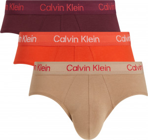 Pánské spodní prádlo HIP BRIEF 3PK 000NB3704AFZP - Calvin Klein