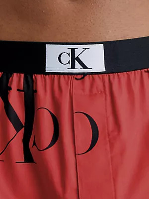 Spodní prádlo Pánské spodní prádlo BOXER TRAD 000NB3411AGNP - Calvin Klein