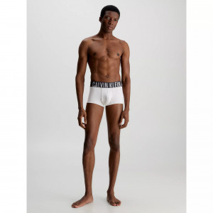 Pánské spodní prádlo LOW RISE TRUNK 2PK 000NB2599AGXH - Calvin Klein