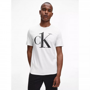 Spodní prádlo Pánská trička S/S CREW NECK 000NM1903E7UM - Calvin Klein