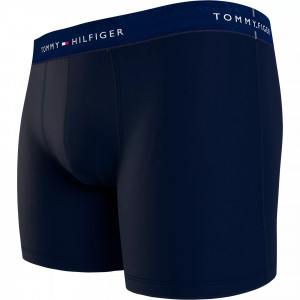 Pánské kalhoty 3P BOXER BRIEF WB UM0UM027650RW - Tommy Hilfiger