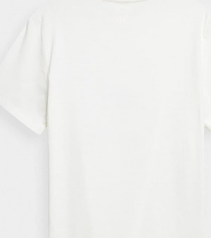 Pánské tričko 4F H4L22-TSM029 krémové Bílá