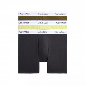 Pánské spodní prádlo BOXER BRIEF 3PK 000NB2381AGW2 - Calvin Klein