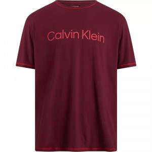 Spodní prádlo Pánská trička S/S CREW NECK 000NM2456EGEX - Calvin Klein