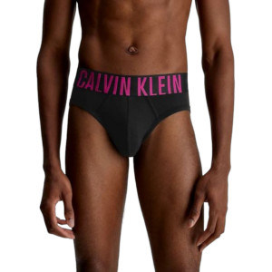 Calvin Klein Spodní prádlo 2Pack Slipy 000NB2601AGXI Black