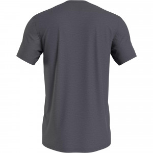 Spodní prádlo Pánská trička S/S CREW NECK 000NM2298EPCX - Calvin Klein